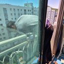 자유아파트 이미지