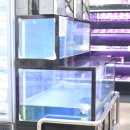 수골 농장 이미지