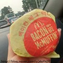하와유펜션 | 봄맞이 거제도 낚시 힐링여행, 하와유 펜션 후기, 펜션에서 먹고 자기