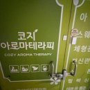 코지 테라피