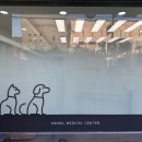 자인동물병원 이미지