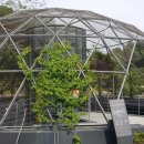 곡성-041 이미지