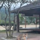 도평초등학교 | 유지영강사 | 포천 도평초등학교 양육자 교육 [양육태도 점검과 대화법] [초등자녀 양육방법] [자녀와...