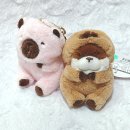 인형짱 이미지