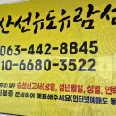 선유도 | 군산 가족여행 선유도 유람선 이용후기