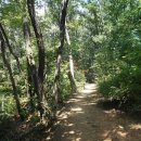 내경2리 이미지