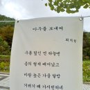 고운시, 단풍에 물들다_최치원문학관 상주작가 지원사업 이미지