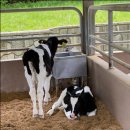 고구려기능성블럭 이미지