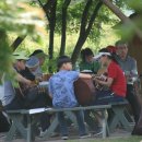 꿈의 정원 이미지