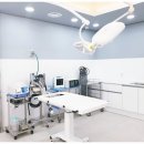 부산동물병원 이미지