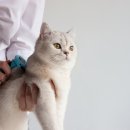 능곡동물병원 이미지