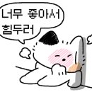 수타꿀빵 네이버블로그