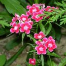 순흥농장 이미지