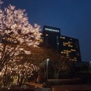 한국지엠용산바로정비서비스 | [남산] 그랜드하얏트 서울 솔직리뷰 - 프리미엄 한강전망룸 (아이스링크, 조식, 갤러리 라운지...