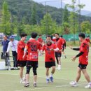 안양새물공원 축구장 이미지