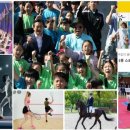 전국소년체전 신규 7종목 선정 이미지