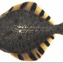 남양주 실내 바다낚시터 이미지