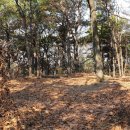 초록산등산로 이미지