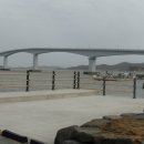 천사(1004) 이미지