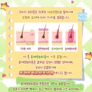 더힐동물병원 이미지