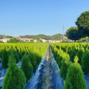 동트는농원 이미지