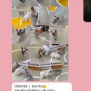 헬로우버디 분당점 이미지