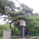 문정사