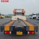 로더비 이미지