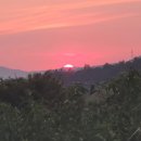 해넘이농장 이미지