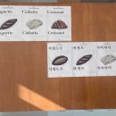 밀하우스베이커리 이미지