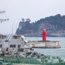 강정동-76 이미지