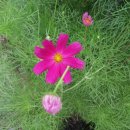 (학교)포남초 이미지