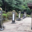 영축산 산책로 이미지