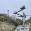 강원도 묵호항 수산시장 홍게 후기 및 주차정보와 애견동반여부