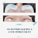 수지구청 속눈썹 잘하는 &lt;에이엔뷰티&gt; 찐 방문 후기