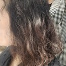 웰리스클리닉 | 파주 스타필드빌리지 운정역 미용실 시원한 헤드스파 후기 : 프리미엄이가자 스타필드빌리지 운정점