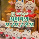 여우샵 | 교토 후시미이나리 치이카와샵 모구모구 혼포 후기｜여우신사 한정 굿즈·웨이팅·가격 총정리