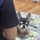 평택삼성요양병원 | [임신일기] 임신후기, 드디어 30주 돌파 💖👼🏻