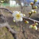 충청남도의 6차산업을 아시나요?