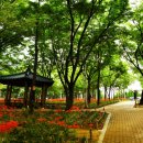 세븐일레븐 대구중리체육공원점 이미지