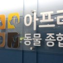 판교종합 동물병원 이미지