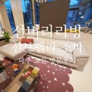 선버리리빙 | 선버리리빙 '선브렐라 소파' 파주쇼룸 방문후기