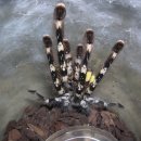 인천연수동우체국 이미지