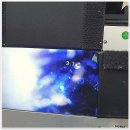 길주남로10번길 | 변기 역류, 이거 정말 심각한 거 맞죠?