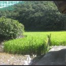 괴산군청천면지경보건진료소 이미지