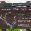 하동약초 - 하동군 평사리길 45 | 하동약초