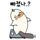 스텝박스 이미지