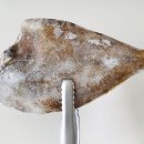 해미래수산 이미지