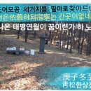 청주한씨 - 은평구 통일로 833-6 | 청주한씨