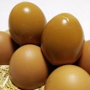 월드민박 이미지